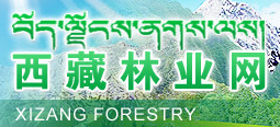 西藏自治区林业厅